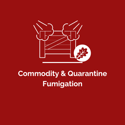 Kilpest team conducting commodity fumigation to meet international quarantine standards