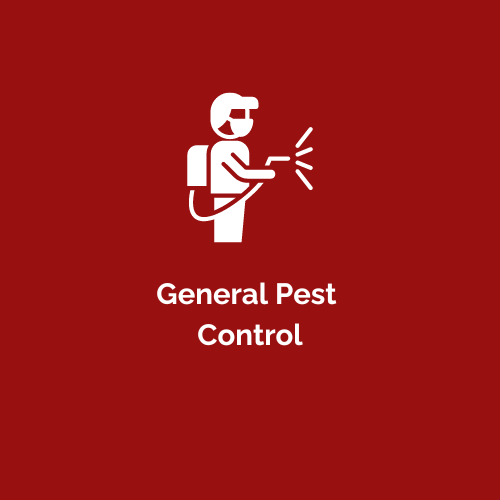 Kilpest pest control team providing general pest control and rodent control services in Cape Town